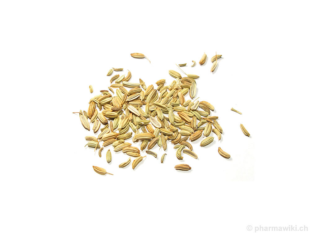 PharmaWiki Fenchel