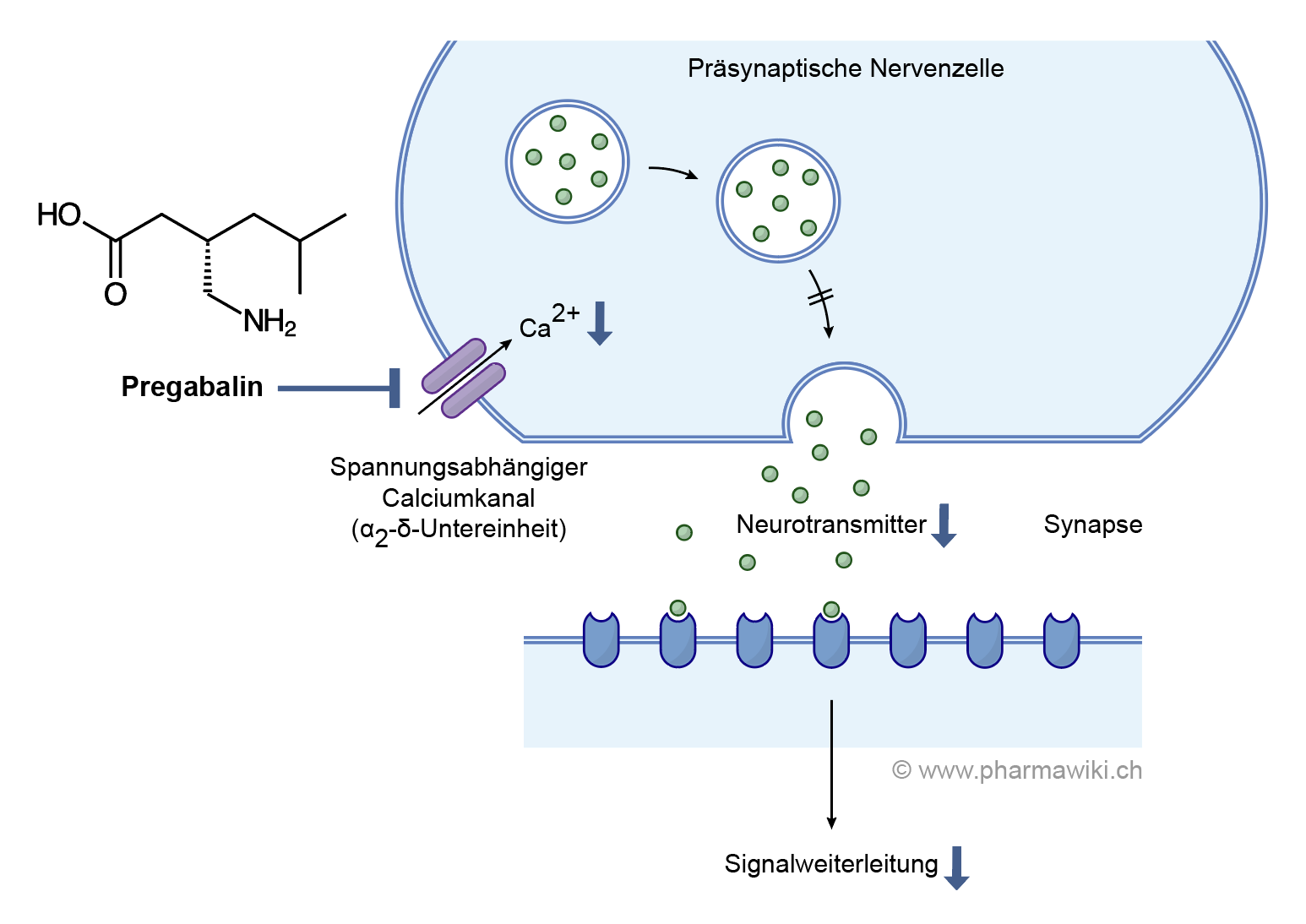 Gabapentin cheap