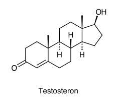 Testosteron Aggressivität