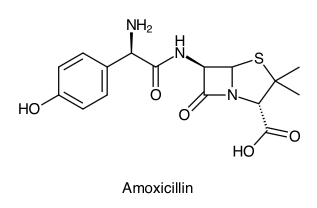 Antibiotika amoxicillin und paracetamol