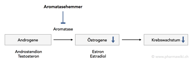 Träumen von anabole steroide shop