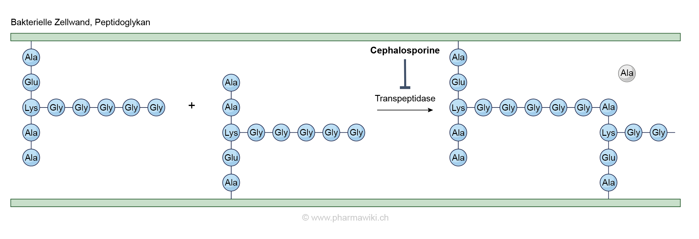 chloroquine phosphate tablets malaysia