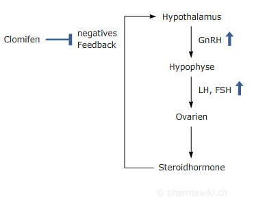 Péchés de cure steroide endurance