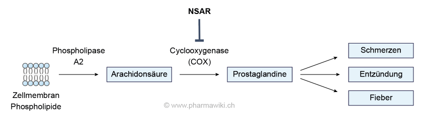 Nsaids Are They All The Same Clinical Correlations Nsaids Are They All The Same Clinical Correlations