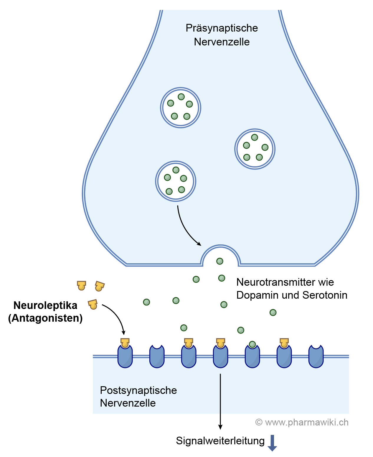 https://www.pharmawiki.ch/wiki/media/Neuroleptika_1.png