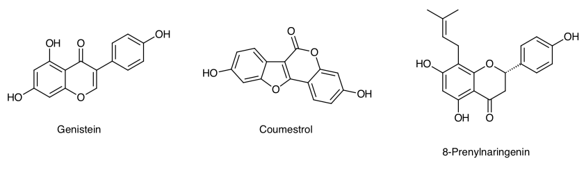 Phytooestrogene_1.png