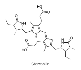 Grün stuhlfarbe Grüner Stuhl