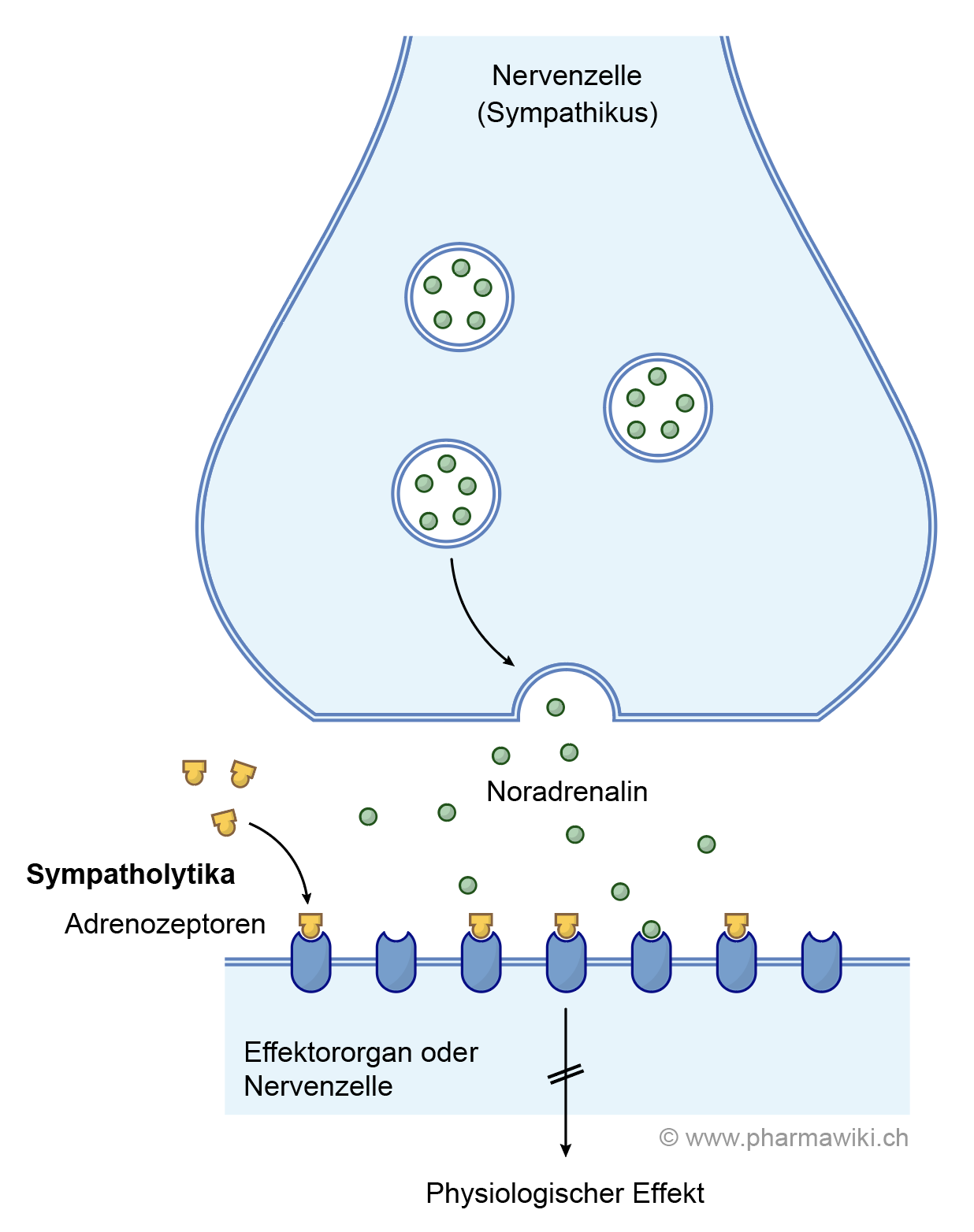 Labetalol - wikidoc